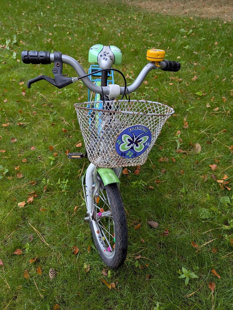 Kinderfiets met mandje 16 inch, Ophalen, Terugtraprem, Papillon, 16 tot 20 inch
