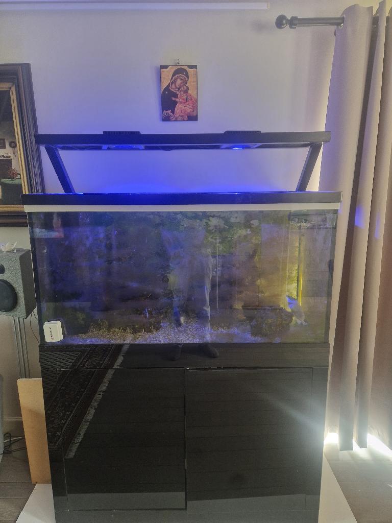 Zeeaquarium, Dieren en Toebehoren, Vissen | Aquaria en Toebehoren, Gebruikt, Gevuld zeewateraquarium, App-bediening, Inclusief controller