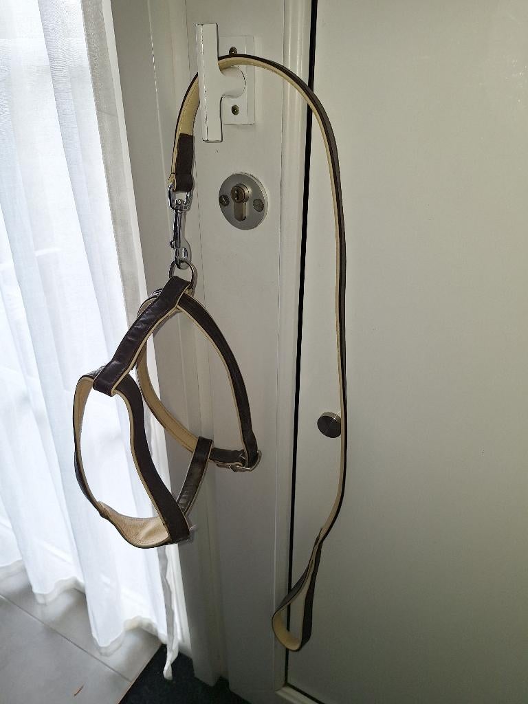 Harnais en cuir + laisse en cuir, Animaux & Accessoires, Enlèvement ou Envoi, Utilisé