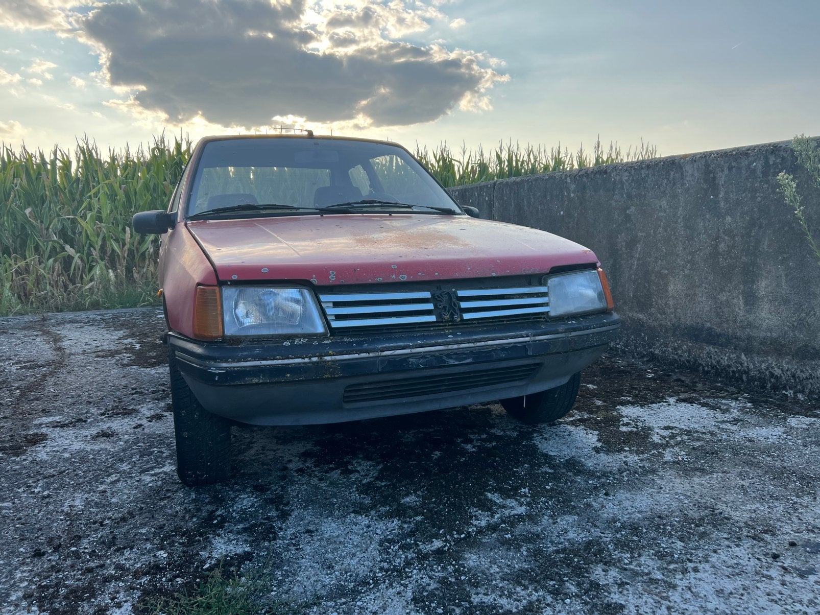 Voiture classique Peugeot 205, Autos, Peugeot, Achat, Boîte manuelle, 5 places, Particulier
