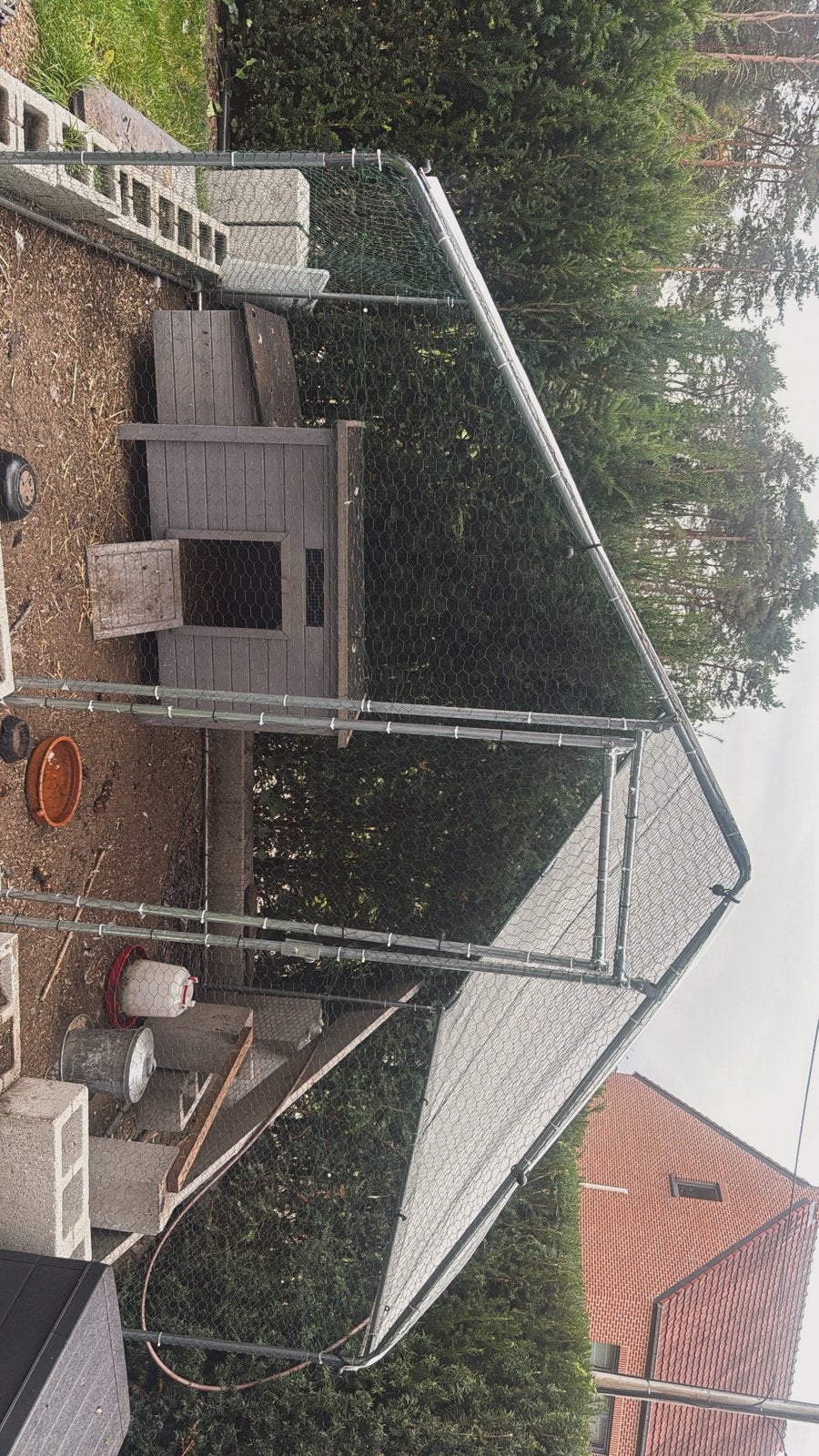 4 kippen 2 ras kippen 3 hokjes en het grote huisje en spulle, Dieren en Toebehoren, Ophalen, Zo goed als nieuw