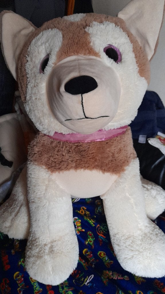 Chien en peluche, Enlèvement, Comme neuf, Chien, Moyen (20 à 80 cm)