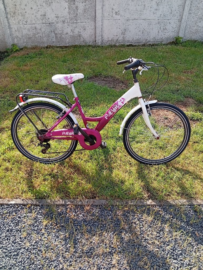 Meisjesfiets 24 inch, Ophalen, Gebruikt, Overige merken, (Extra) lage instap