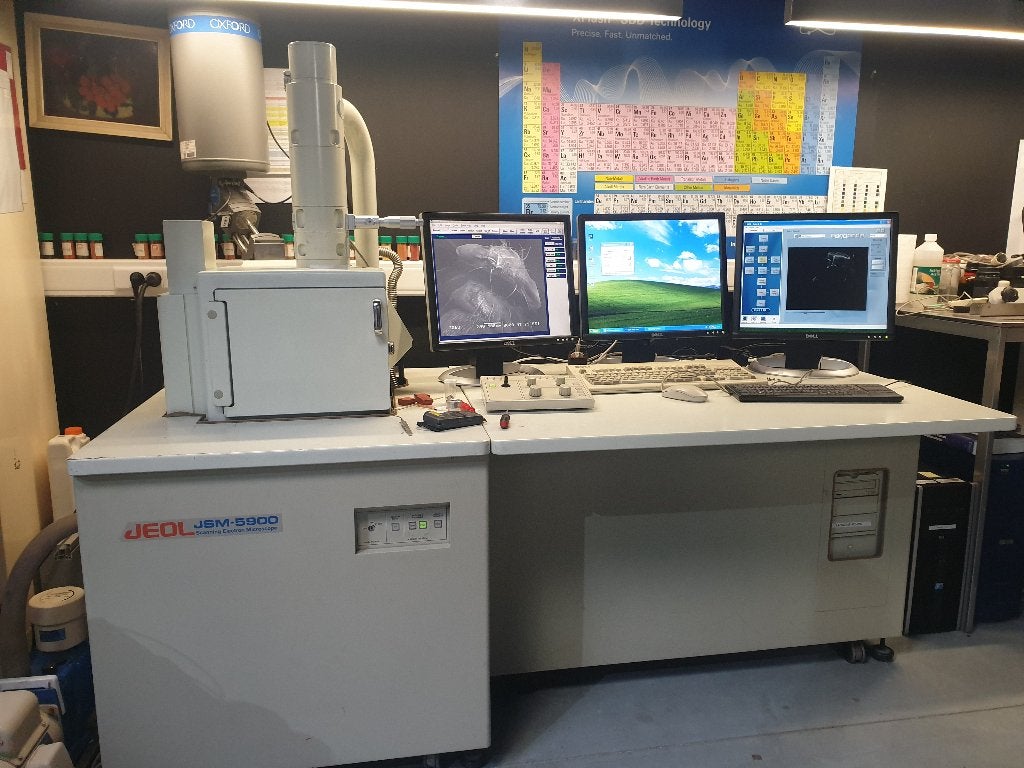 JEOL SJM-5900 Scanning electronen microscoop, TV, Hi-fi & Vidéo, Matériel d'optique | Microscopes, Enlèvement, Utilisé, 1000x ou plus