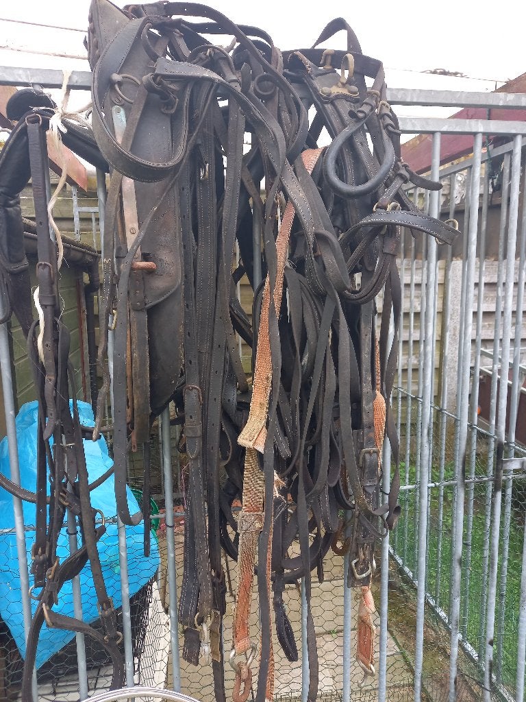 Ponygetuig, Animaux & Accessoires, Poneys
