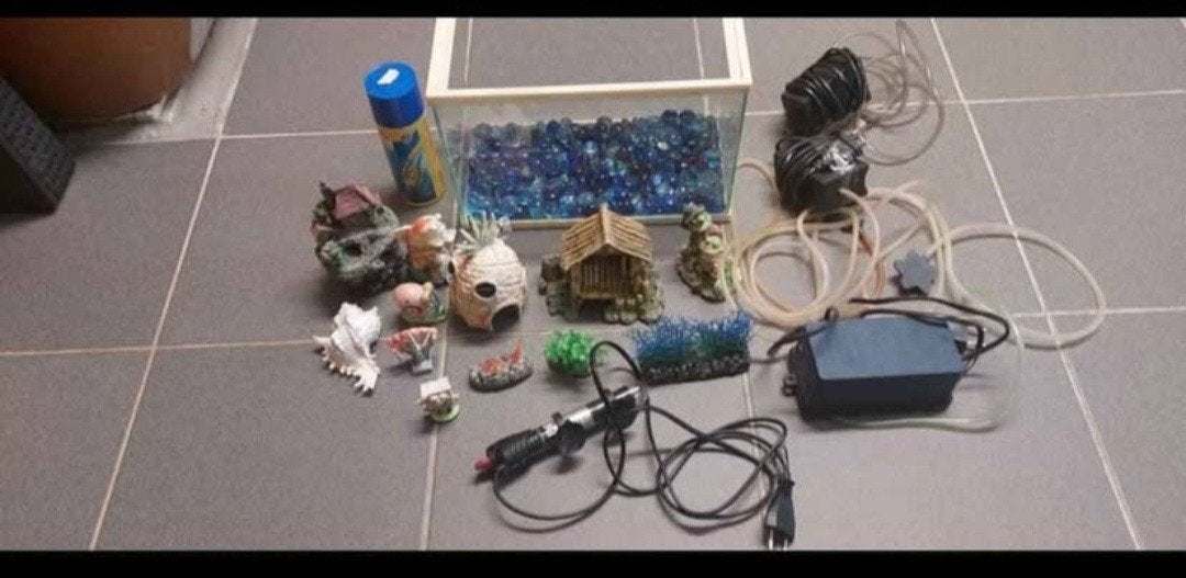 aquarium, Animaux & Accessoires, Enlèvement