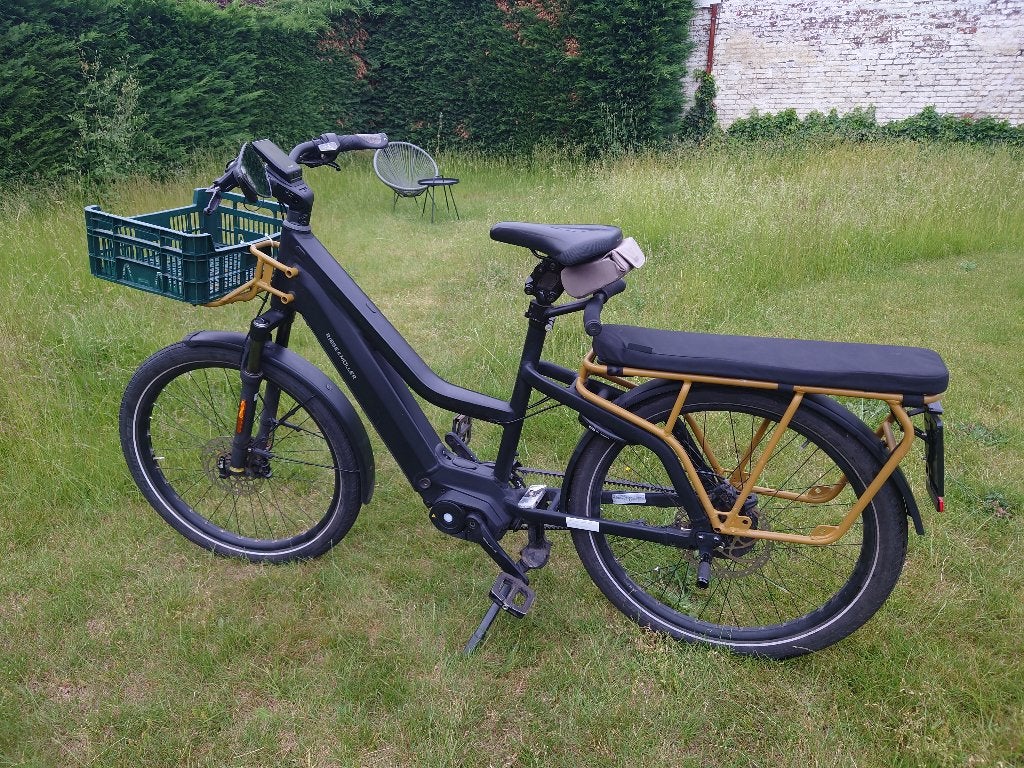 Riese & Müller Multicharger GT Mixte Longtail Speed Pedelec, Fietsen en Brommers, Elektrische fietsen, Gebruikt, Riese & Müller