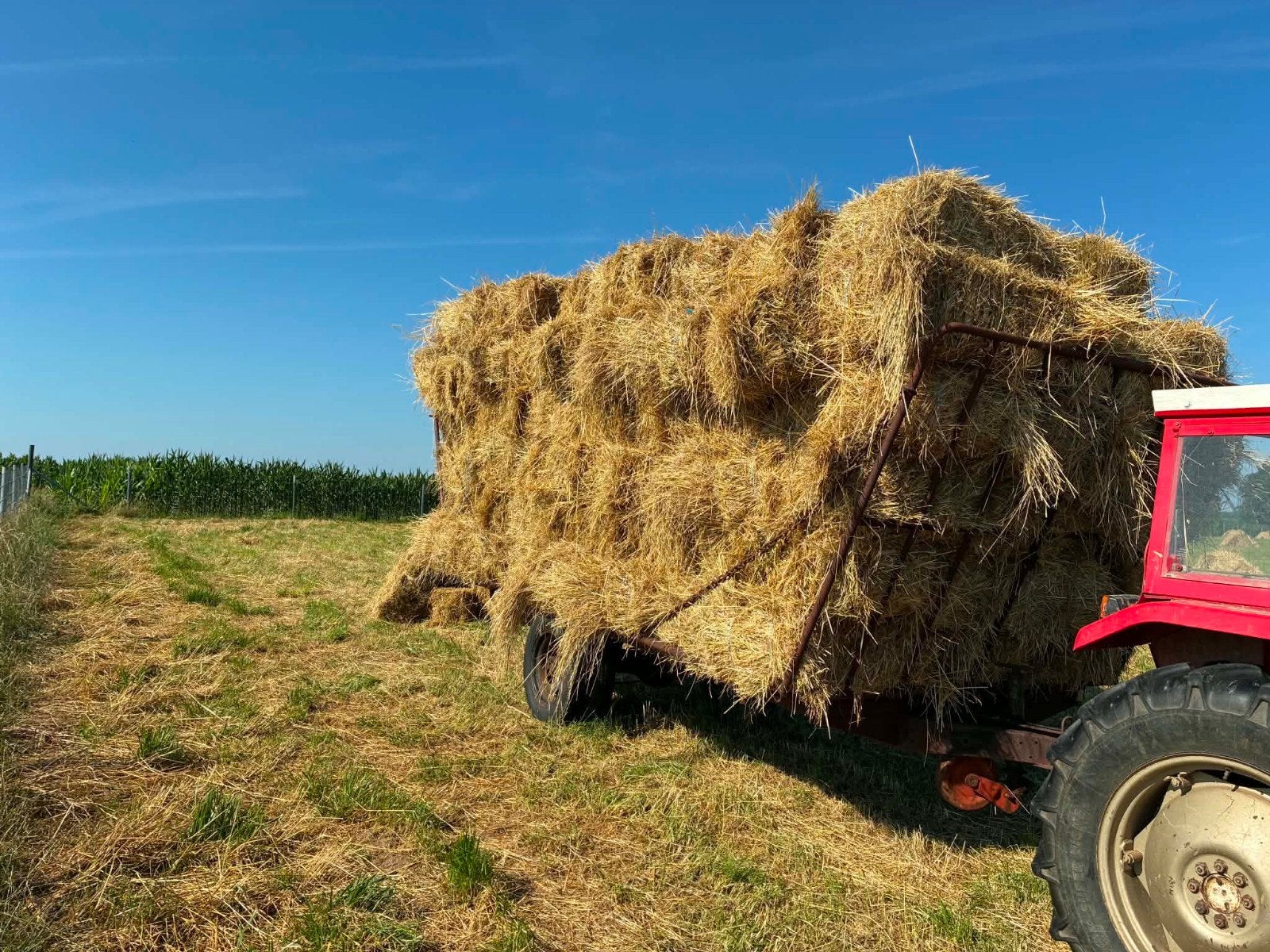 Hooi te koop, Dieren en Toebehoren, Dierenvoeding, Ophalen of Verzenden