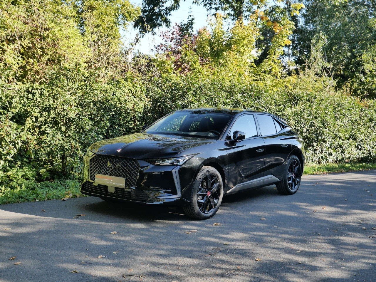 DS Automobiles DS 4 225PK PERFORMANCE LINE+ GARANTIE TOT 48, Autos, Entreprise, Alcantara, Automatique, DS 4