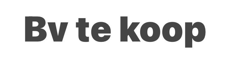 Bv zonder schulden, Koop