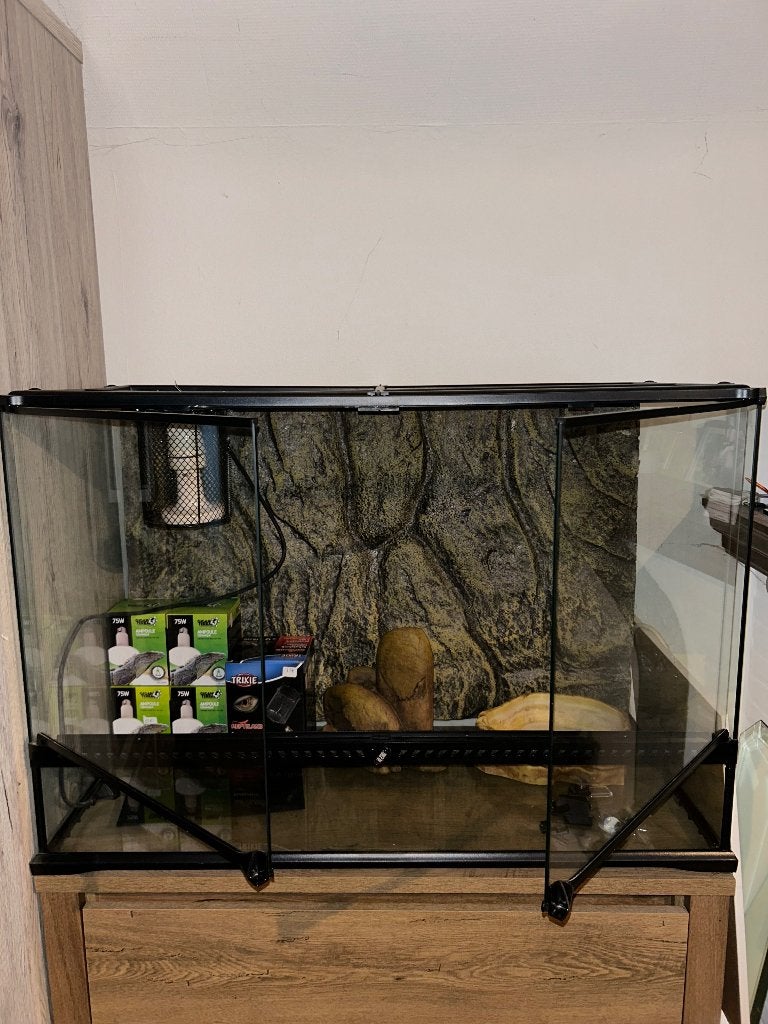 Exo terra terrarium, Dieren en Toebehoren, Ophalen, Zo goed als nieuw, Terrarium of Paludarium
