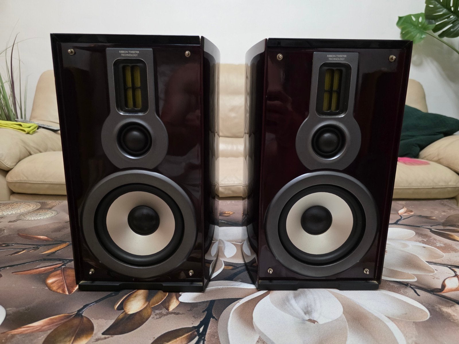 Luidsprekers Philips MCD 908, Audio, Tv en Foto, Luidsprekerboxen, Ophalen, Philips, Gebruikt, 60 tot 120 watt