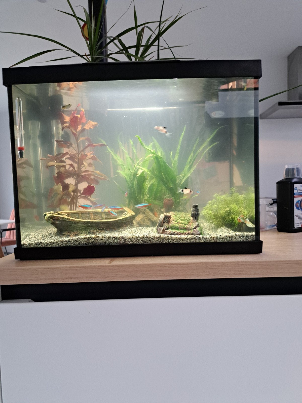 Aquarium 50L en accessoires, Ophalen, Pomp, Zo goed als nieuw, Leeg aquarium