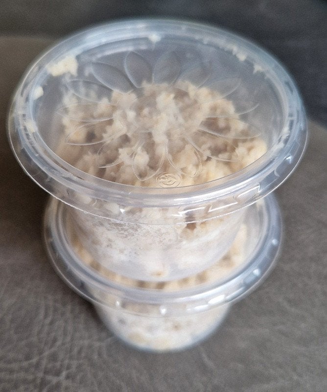 Mooi portie microwormen (startportie +/- 75 gr), Ophalen, Nieuw, Tetra