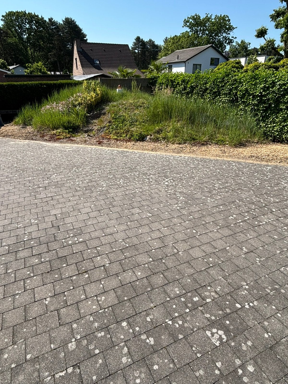 Zwarte aanvulgrond, Ophalen, 10 m² of meer