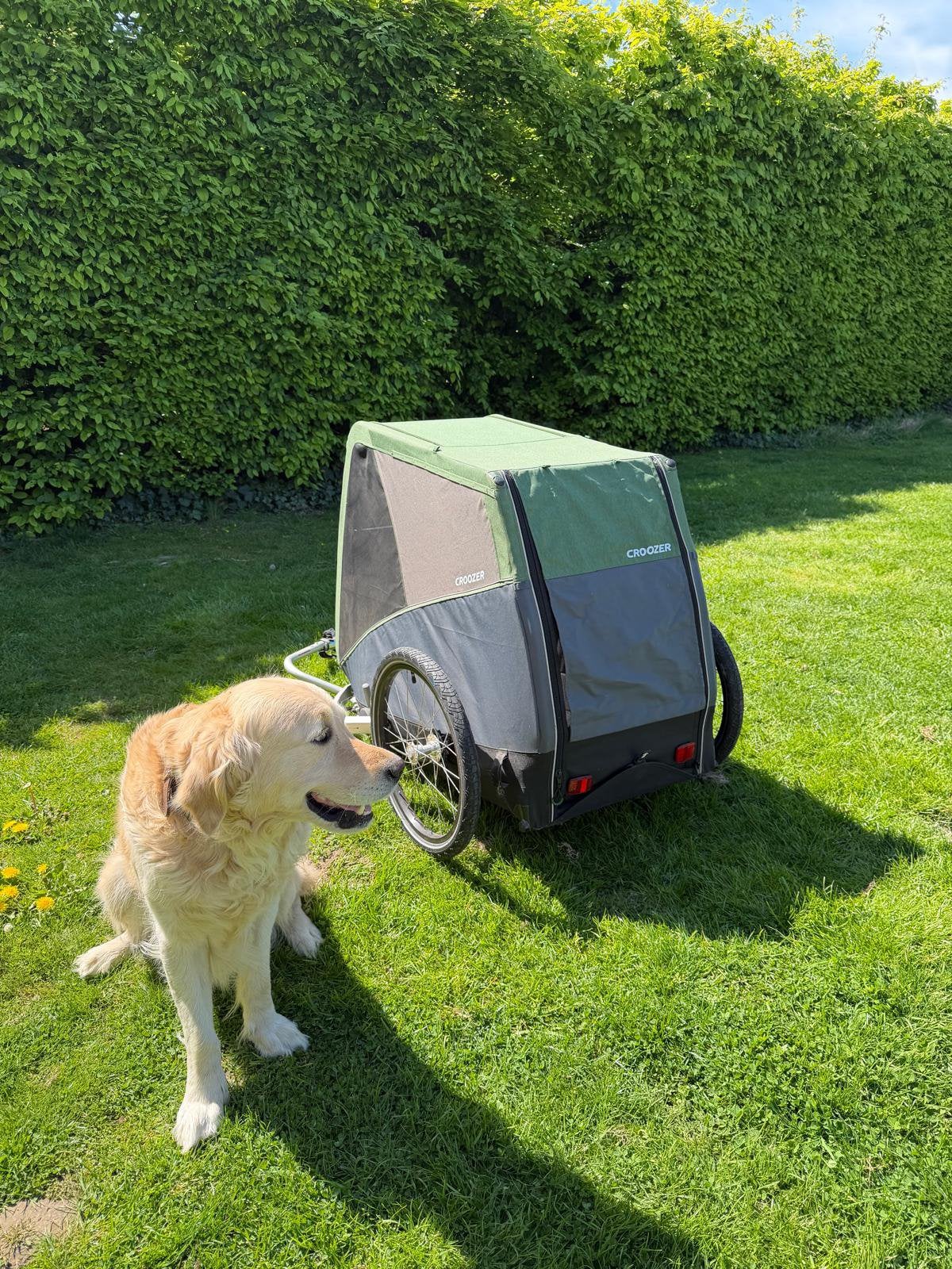 Fietskar voor honden, Fietsen en Brommers, Fietsaccessoires | Aanhangwagens en Karren, Ophalen, Vering, 20 tot 40 kg, Zo goed als nieuw