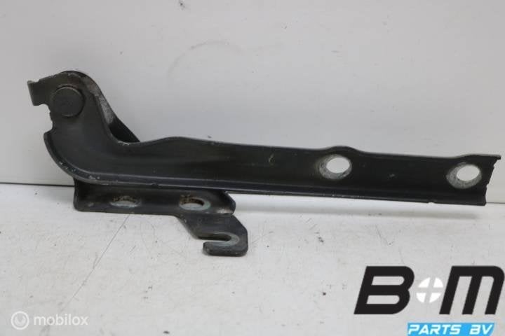 Motorkapscharnier links VW Tiguan 5N 2.0 5N0823301A, Utilisé