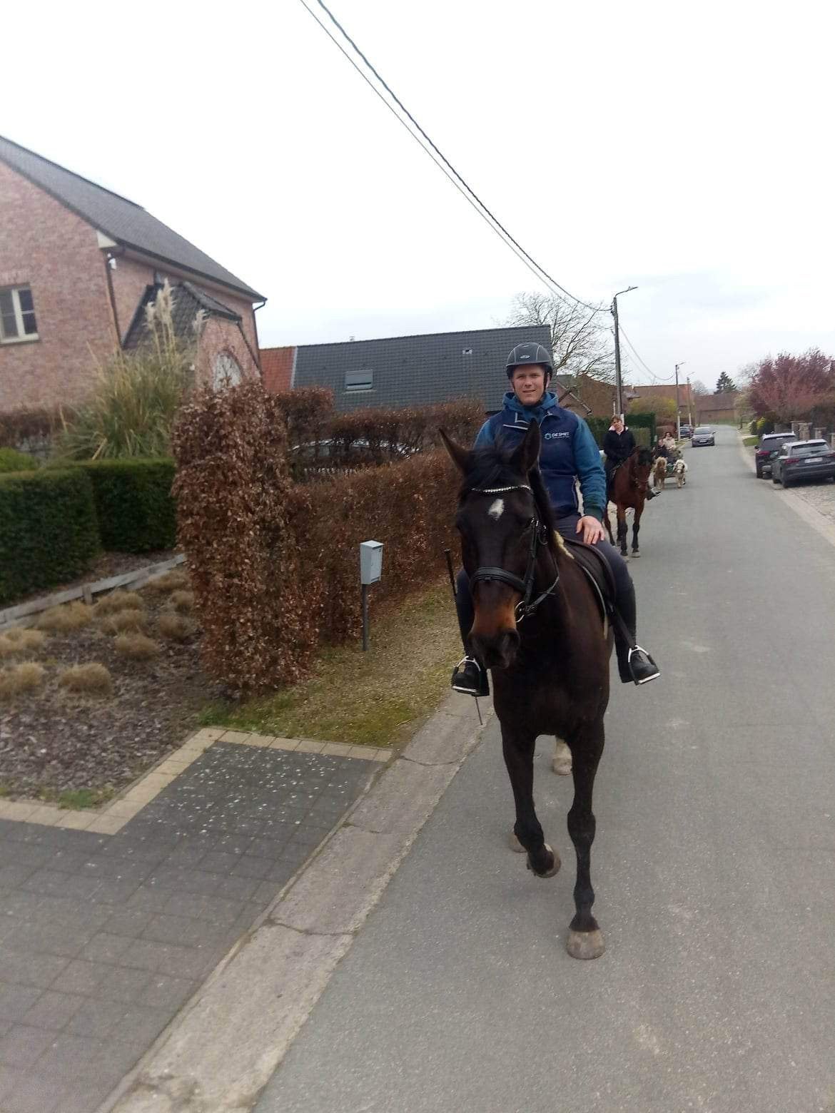 Recreatiepaard te koop, Enlèvement, Utilisé