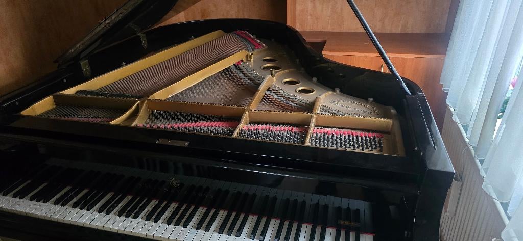 steinway and sons vleugelpiano, Muziek en Instrumenten, Piano's, Gebruikt, Verzenden, Zwart, Hoogglans
