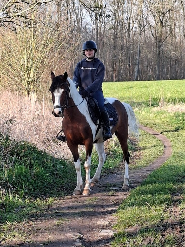 Pony te koop, Poney C (1.27 m à 1.37m), Avec puce électronique, Poney de récréation, Ne s'applique pas