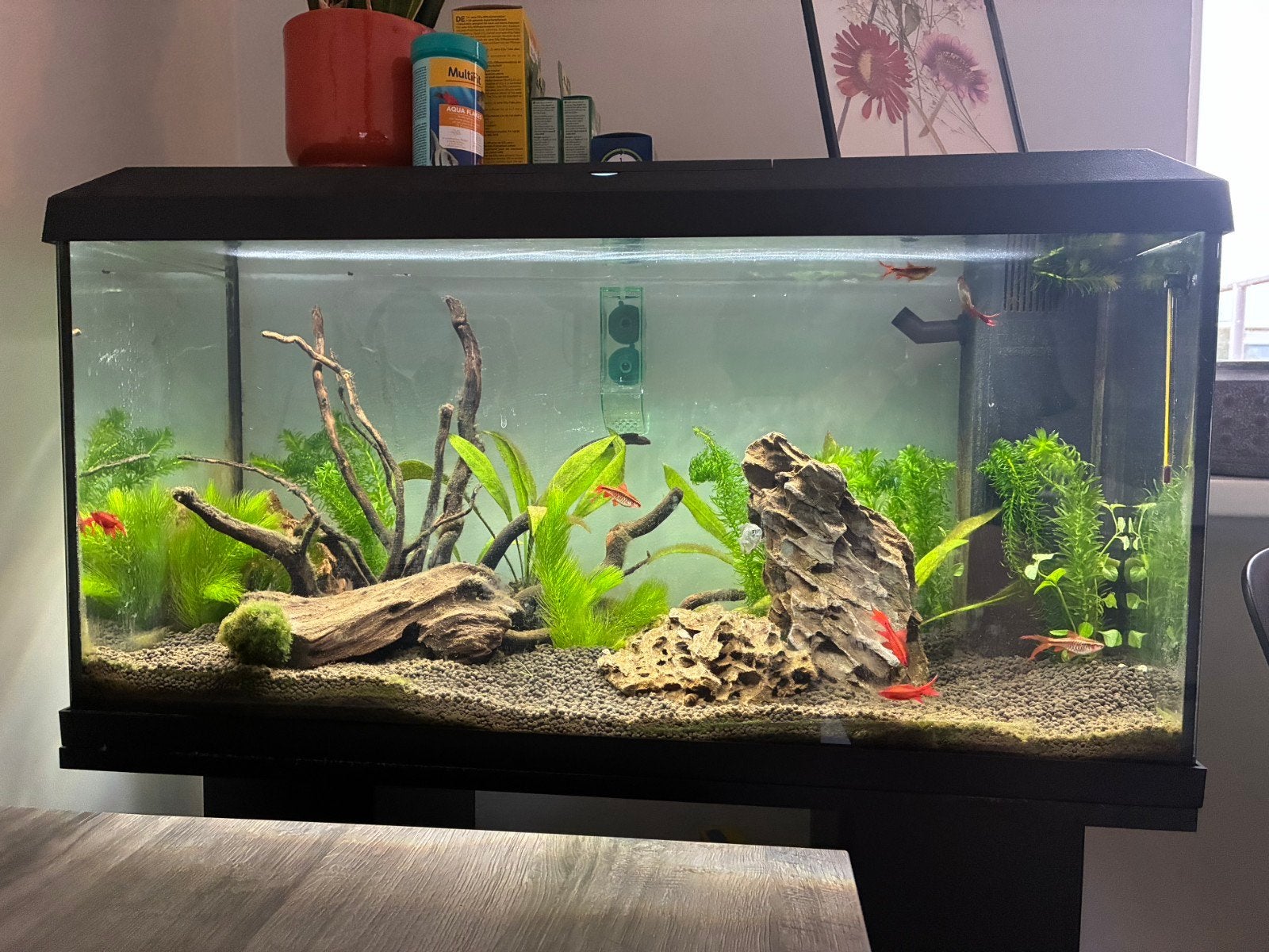 juwel primo 110 aquarium, Dieren en Toebehoren, Ophalen, Juwel