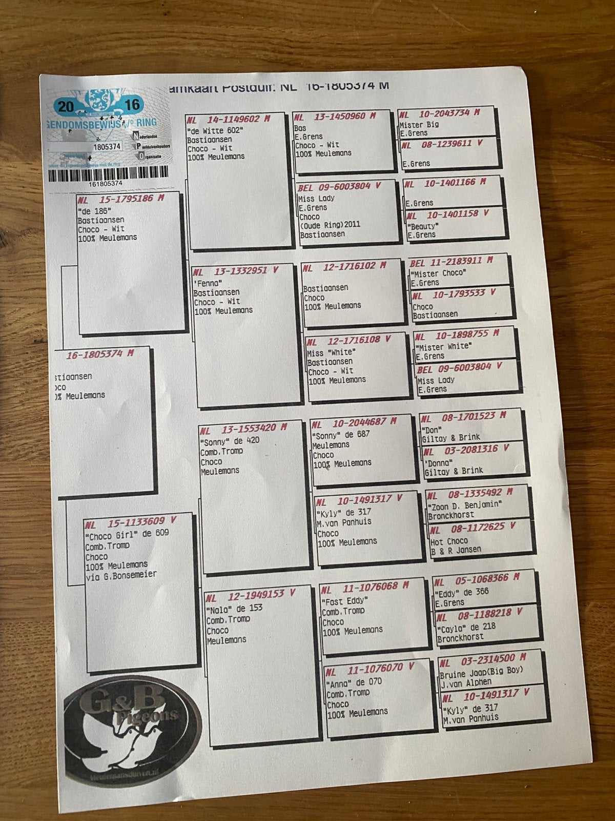Choko Meulemans, Mannelijk, Postduif