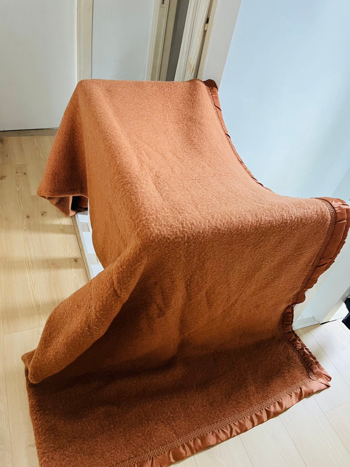 100% wollen dekens. Prijs per stuk tussen €20 en €70., Enlèvement ou Envoi, Utilisé, Polaire, Beige