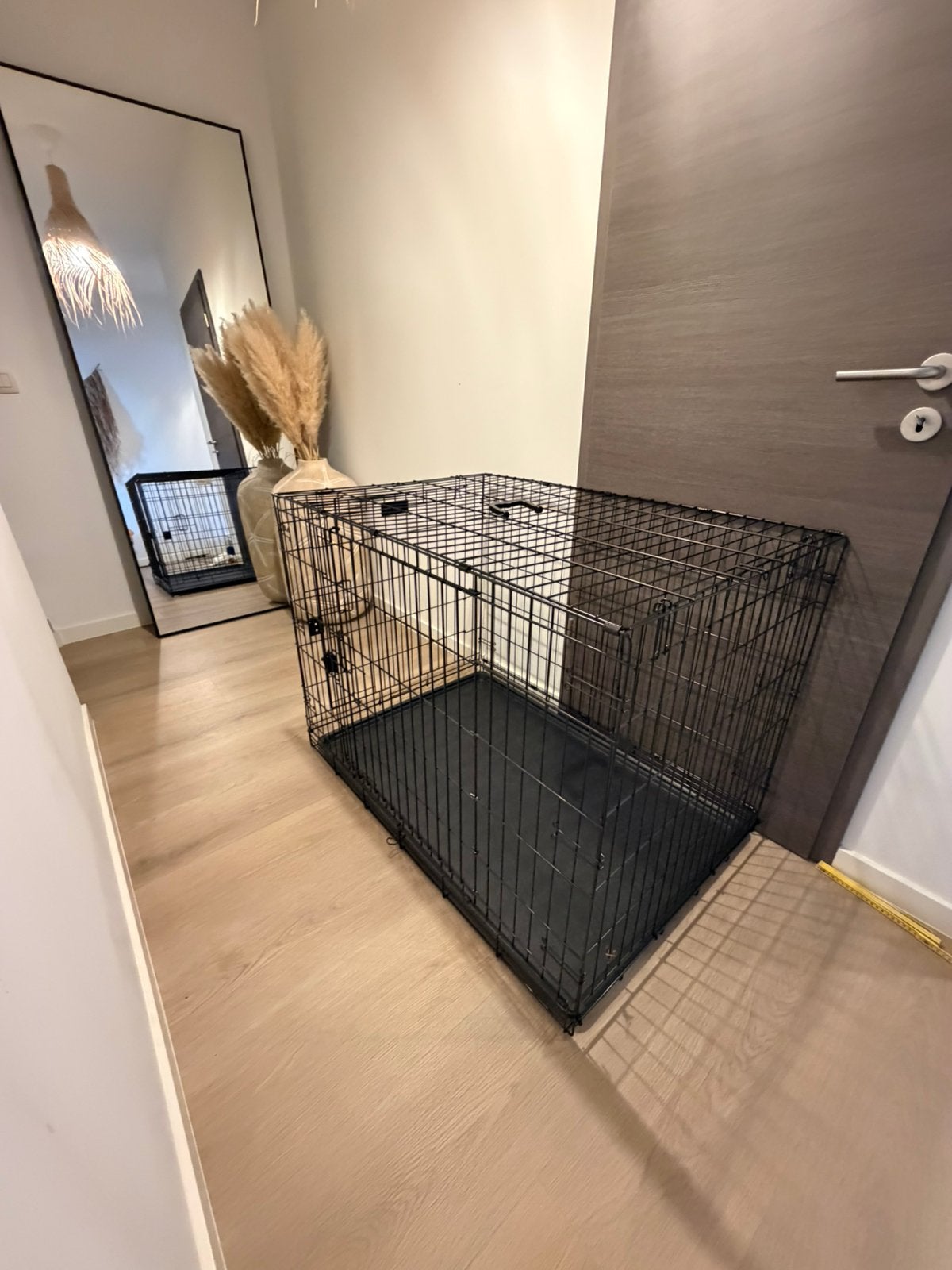 Cage chien, Enlèvement, Comme neuf