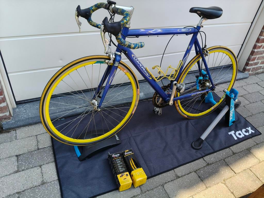 Koersfiets, Ophalen of Verzenden