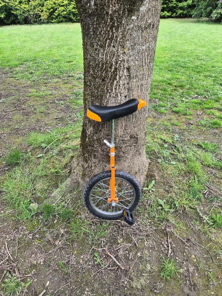 Monocycle, Vélos & Vélomoteurs, Enlèvement, Utilisé