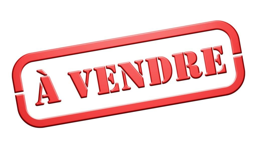 Société de déménagement à vendre, Divers, Divers Autre, Utilisé, Enlèvement