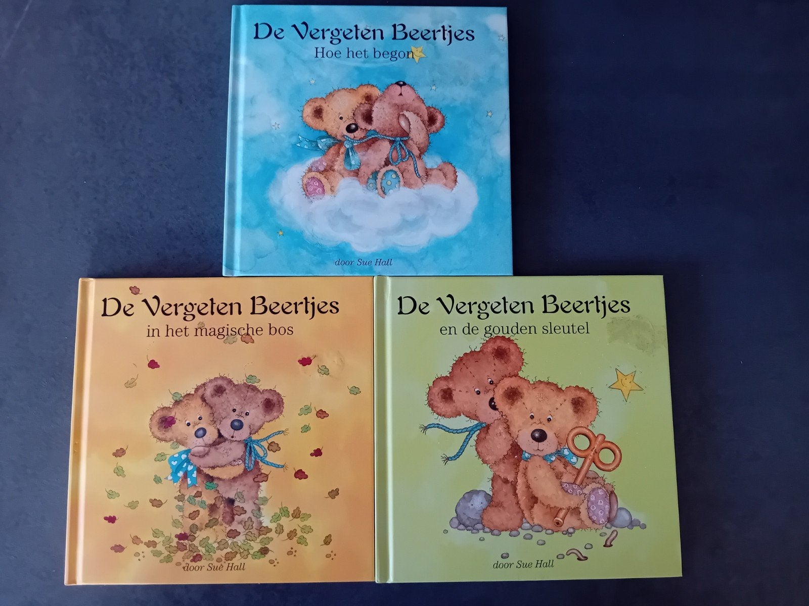 De vergeten beertjes, Ophalen of Verzenden, Zo goed als nieuw