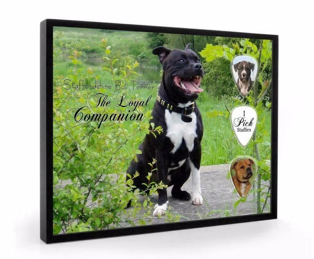 Staffordshire Bull Terrier hond plectrumdisplay, Enlèvement ou Envoi, Neuf