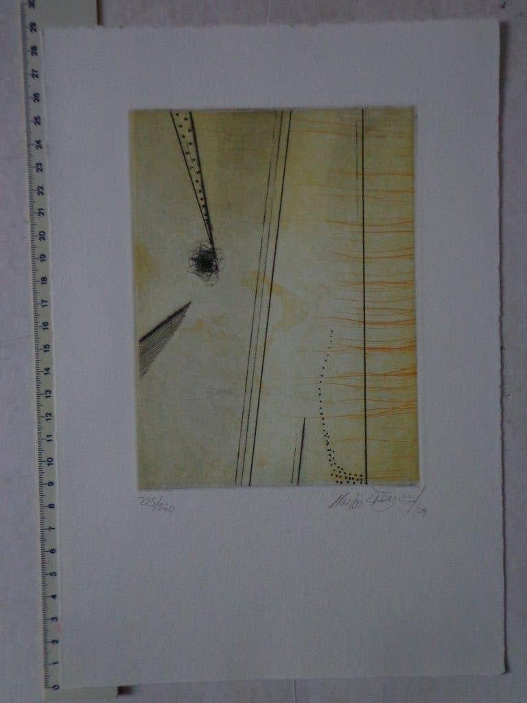 Ets van de Slovaakse kunstenaar Martin Sevcovic uit 2009, Antiek en Kunst, Kunst | Etsen en Gravures, Ophalen of Verzenden, Ets