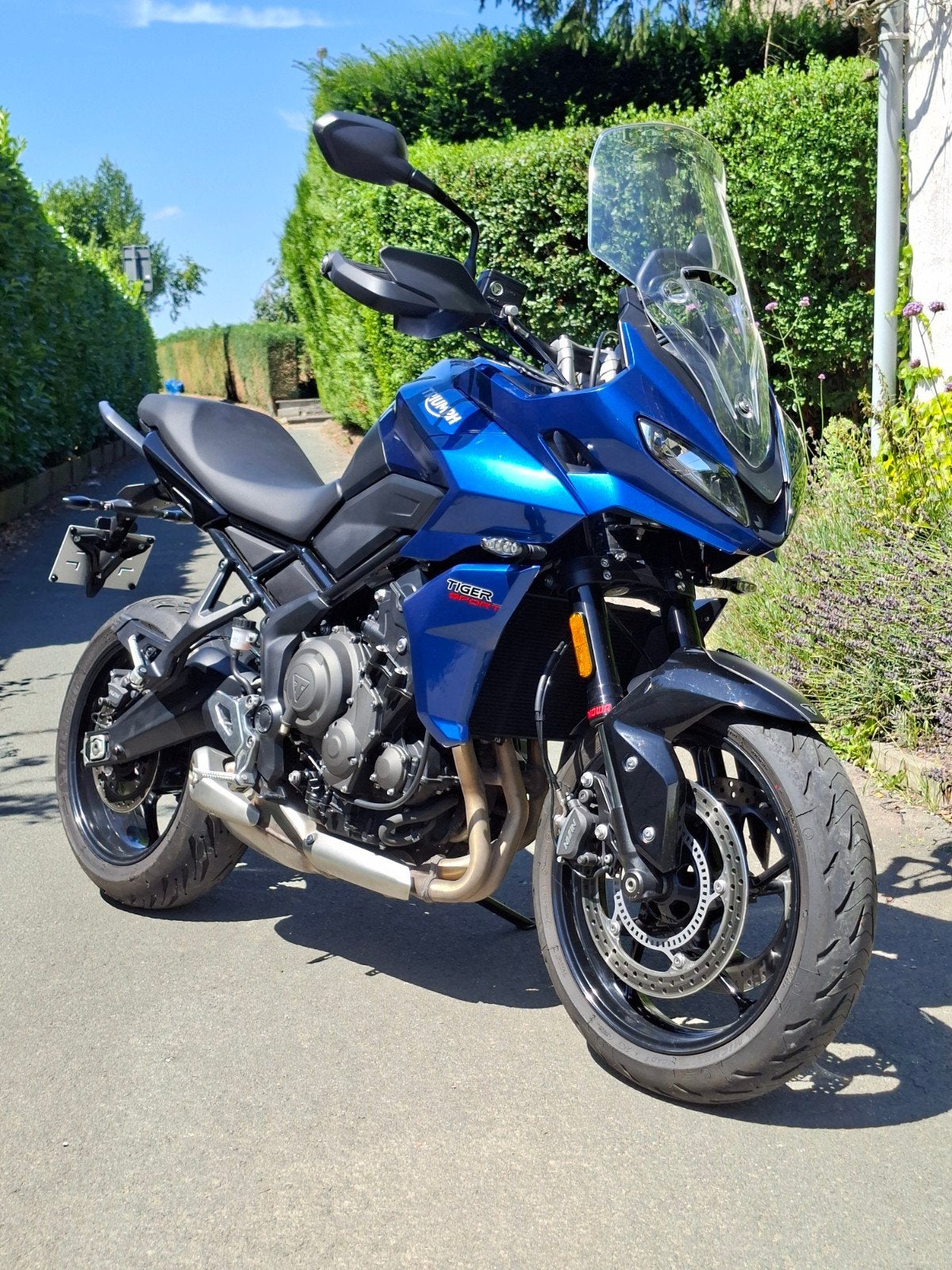 Triumph Tiger Sport 660 Met slechts 5.850km! (A2 mogelijk), Motos, Motos | Triumph, Permis Moto A, Plus de 35 kW, 3 cylindres