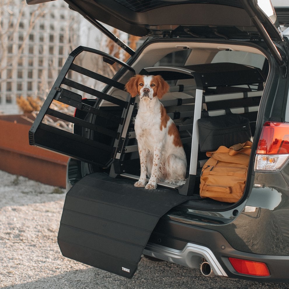 Thule Allax M + Thule bumperbeschermer + Thule bench mat, Dieren en Toebehoren, Hondenbenches, Ophalen, Zo goed als nieuw