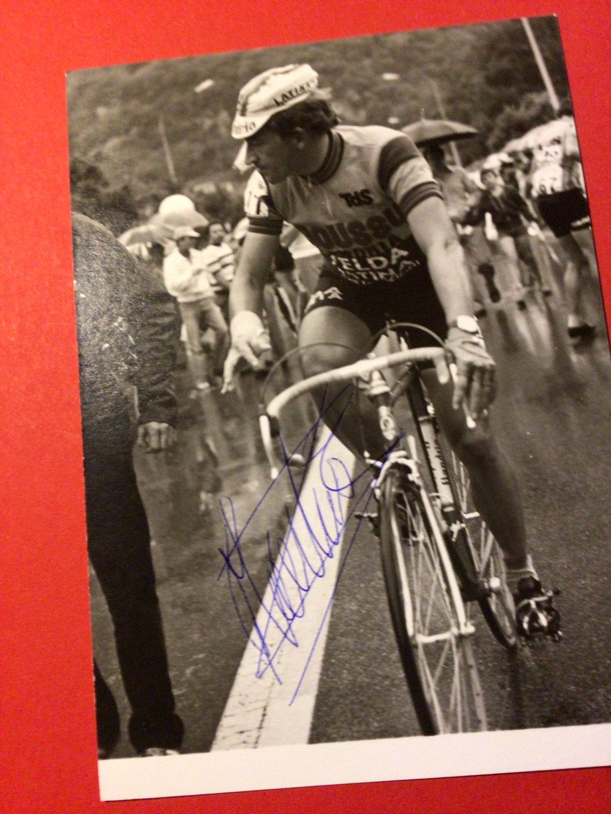 wielerkaart 1977 vuelta team flandria freddy maertens signe, Envoi, Comme neuf