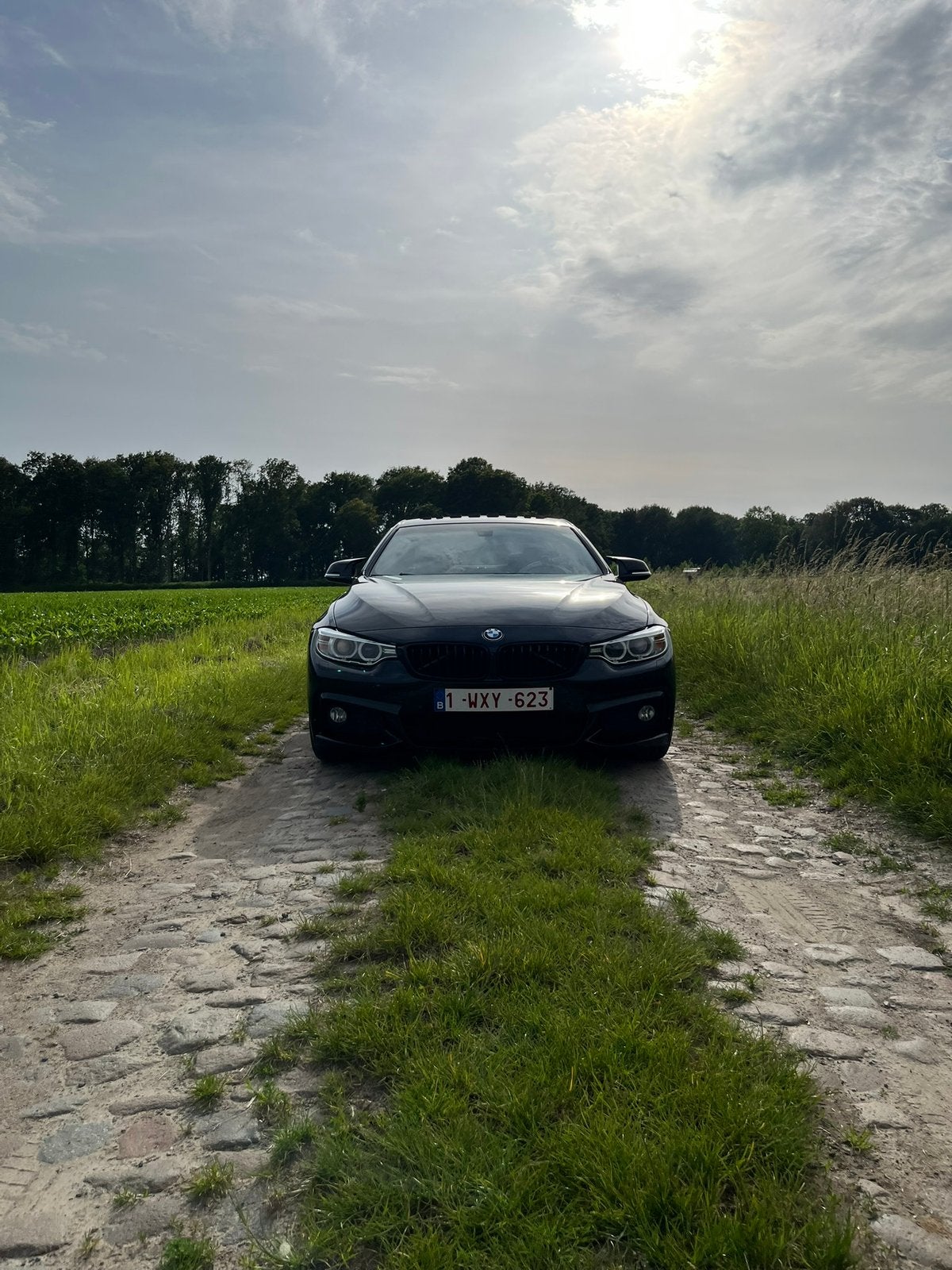 BMW 420i, Autos, BMW, Achat, Euro 6, 1700 kg, Alcantara