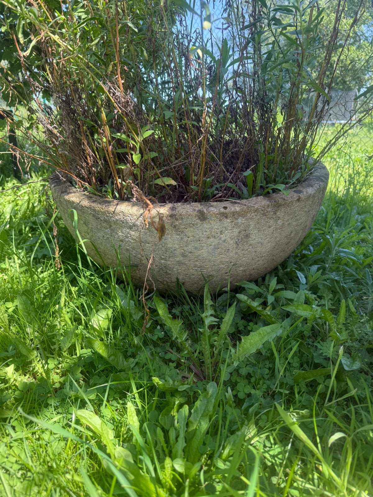 Pot oval, Jardin & Terrasse, Enlèvement, Comme neuf, Pierre