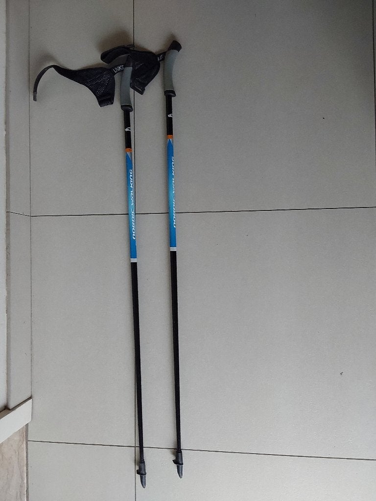 Bâtons de marche nordique XELUS 110 cm, 50 % carbone, Enlèvement, Utilisé, Bâton de marche