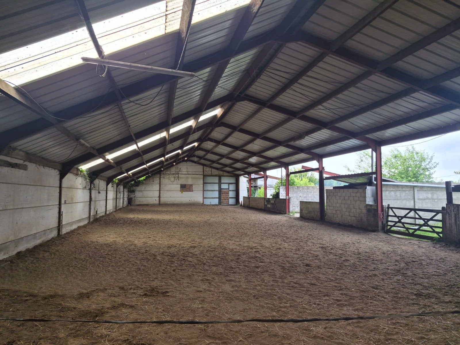 plaats vrij in kleinschalig paardenpension, Dieren en Toebehoren, Weidegang, 2 of 3 paarden of pony's