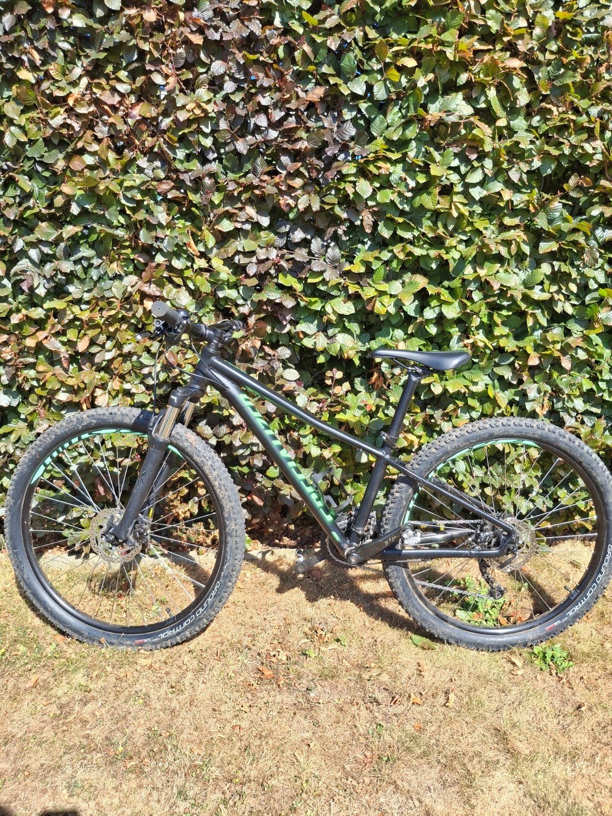 specialized mountainbike, Enlèvement, Comme neuf, Hommes