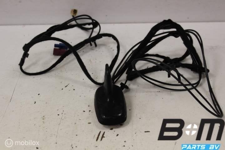 Combi dakantenne Audi A3 8P Sportback 8P4035503E, Gebruikt