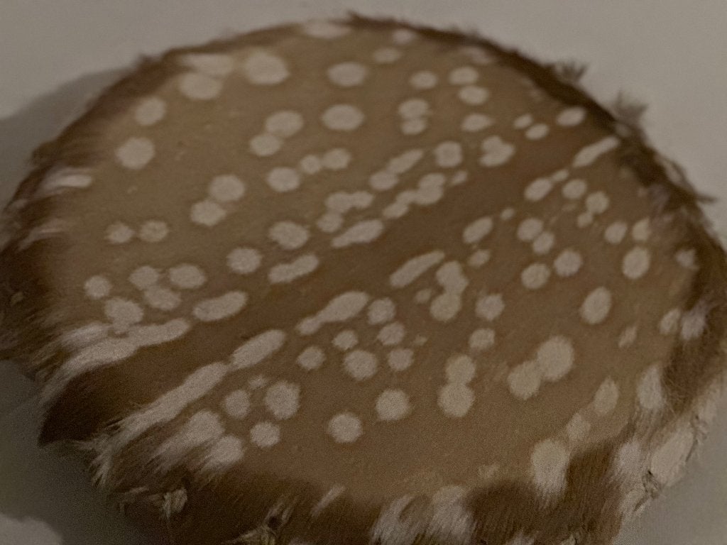 Mooie handgemaakte sjamaan drum met natuurlijke huid, Muziek en Instrumenten, Ophalen of Verzenden, Nieuw, Melodische percussie