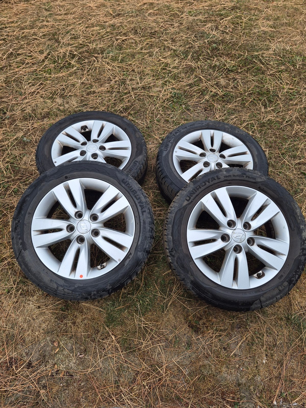 jantes alu 16"  Hyundai + Kia, 16 pouces, Pneus été, 205 mm, Enlèvement
