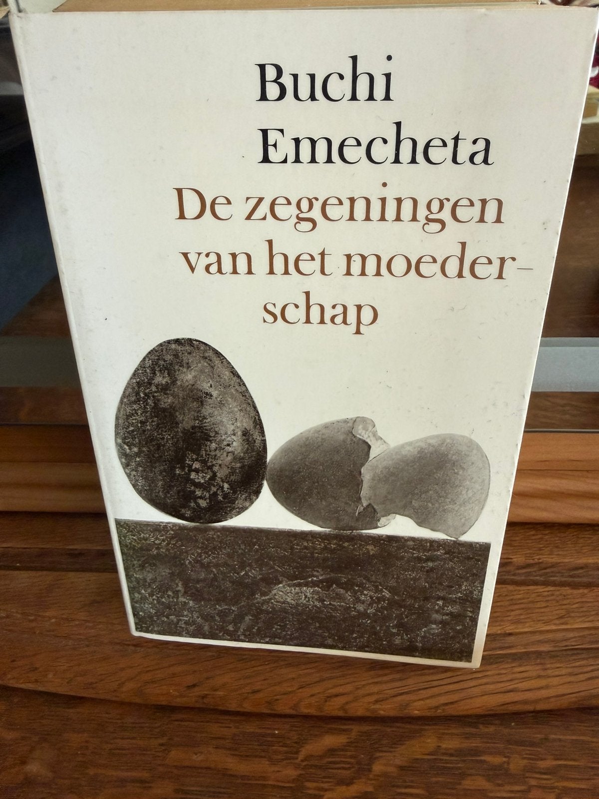 B. Emecheta - De zegeningen van het moederschap, B. Emecheta, Ophalen of Verzenden, Zo goed als nieuw, Nederland