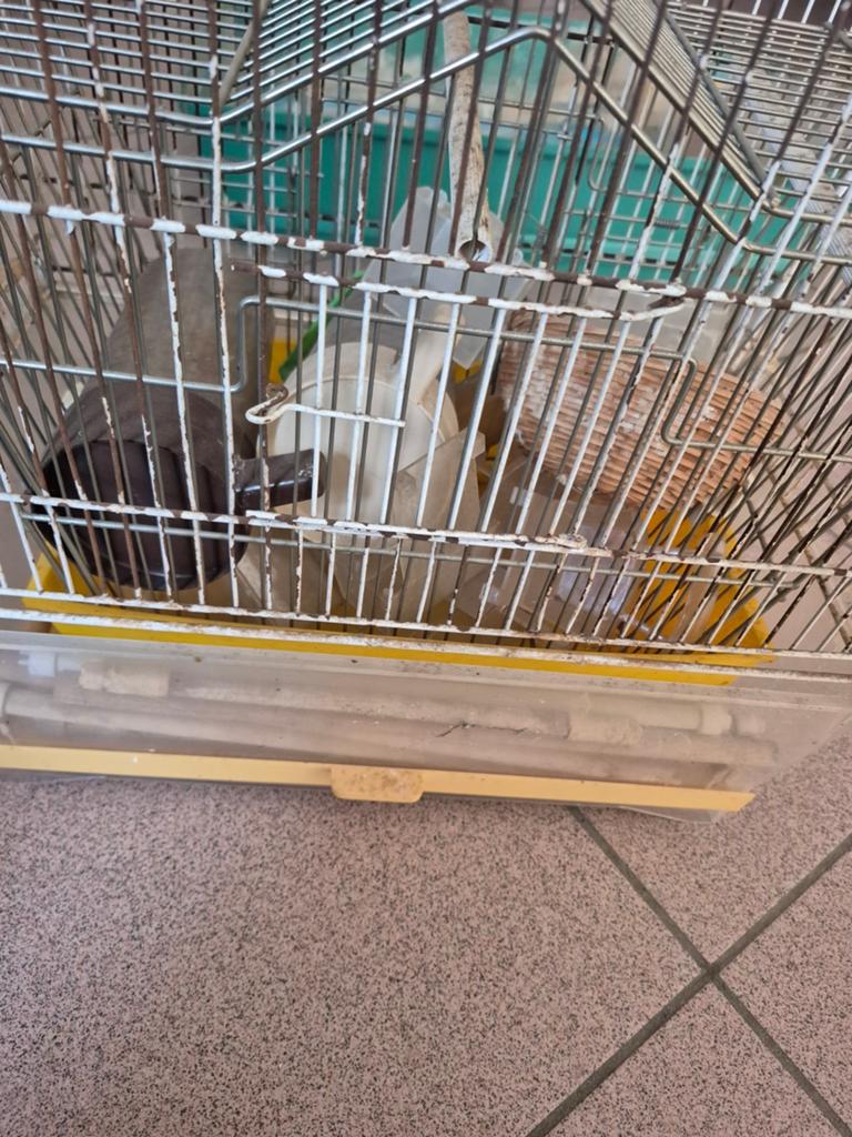 2 petite cage avec accessoires a vendre urgent 20 euro les2, Animaux & Accessoires