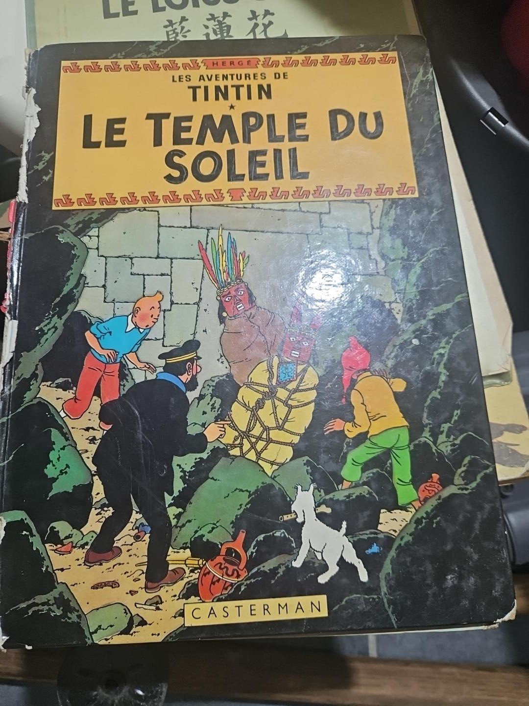 Tin tin Le temple du soleil, Livres, Enlèvement