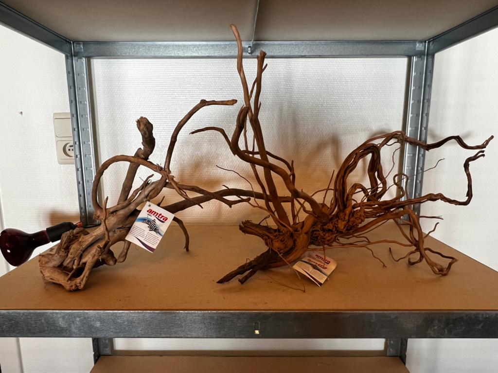 Driftwood hout voor in aquarium, Enlèvement, Comme neuf
