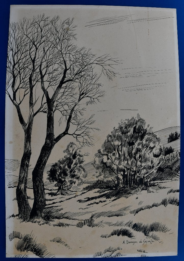 Paysage à la plume signé « A. Dunoyer de Segonzac », Antiquités & Art, Enlèvement ou Envoi, Paysage, Dessin, Signé